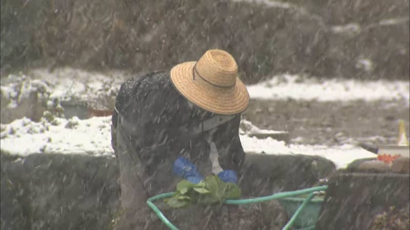 津は6.9度と今季最低…東海3県は上空に寒気流れ込み各地で冷え込み強まる 営業がスタートしたス…