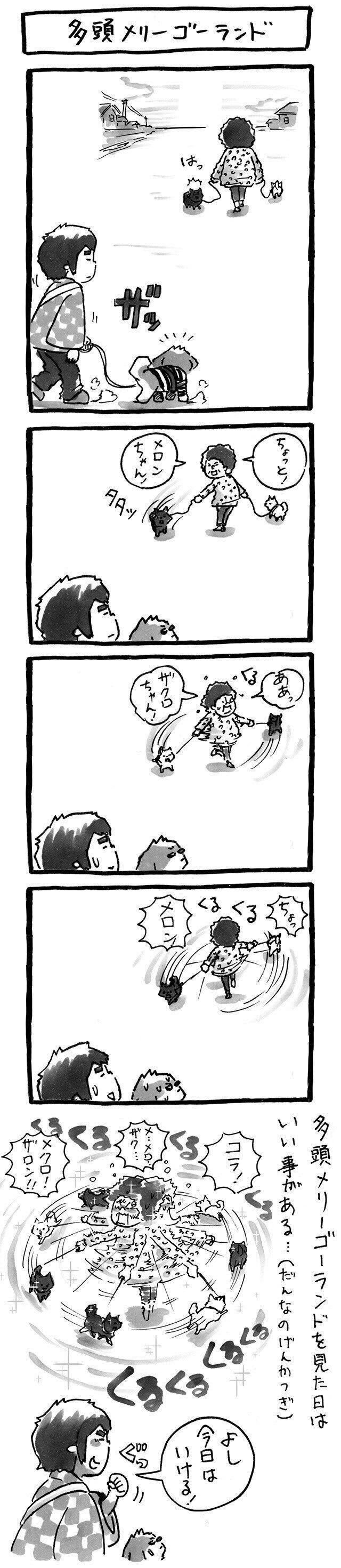 見かけたらラッキー？散歩のげんかつぎ|連載「シーズー犬のてんぽ」第219回