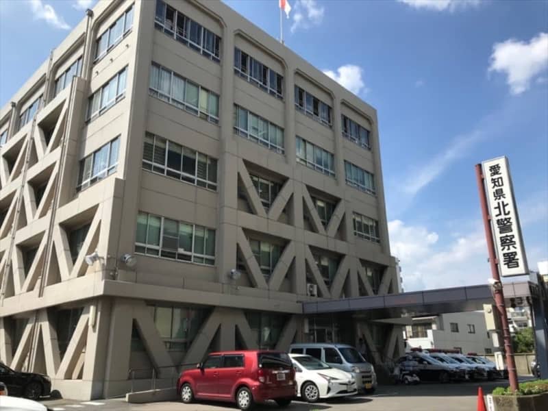 A 3-year-old man was arrested after hitting a woman on a bicycle with a car, causing serious injuries that took three months to recover, and then ``I didn't realize he had hit a bicycle.''