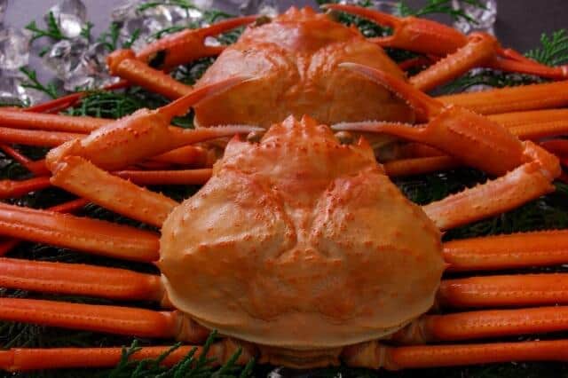 "We're in trouble because of nuclear power plant water. Please help us!" Malicious seafood sales practices are rampant. If you buy it out of sympathy, you'll get a crappy deal.