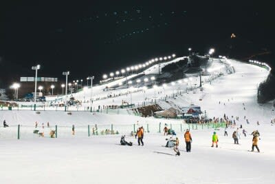 ウインタースポーツ観光のブームが到来、スキー場は予約でいっぱいに―中国