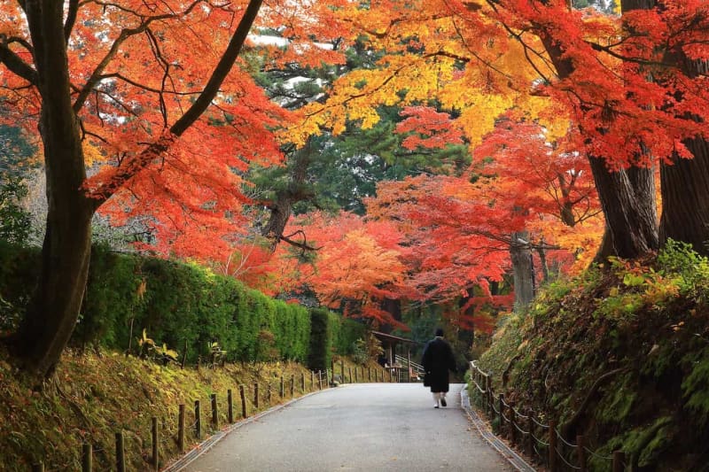 日本の世界遺産【16】仏教の理想郷を目指した！岩手県「平泉－仏国土（浄土）を表す建築・庭園及び…