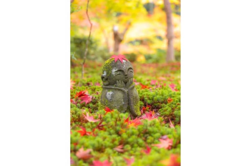 ``It makes me smile when I'm tired'' Jizo statue in Kyoto in autumn receives 3.5 likes for its soothing smile