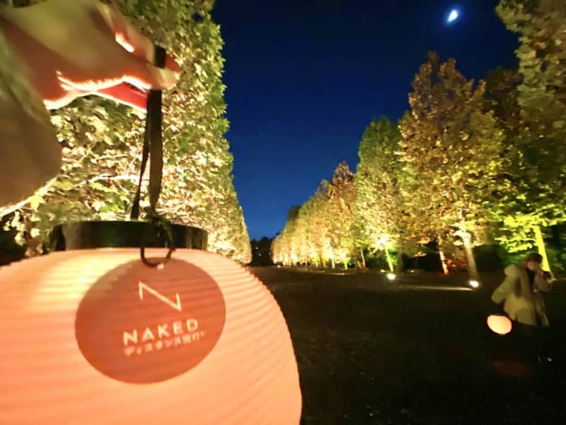[NAKED Autumn Leaves at Shinjuku Gyoen National Garden 2023] The lanterns are cute!A light-up event where light art invites you into a world of fantasy