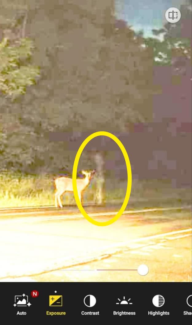 [Image] A "strange object" caught in a photo.It's up to you whether you believe it or not...