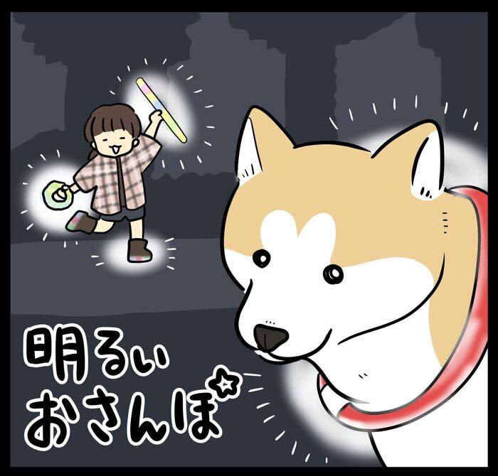 Useful items for a walk in the dark with Taro the Shiba Inu | Series "Fluffy Shiba and Punipuni Girl" Episode 244