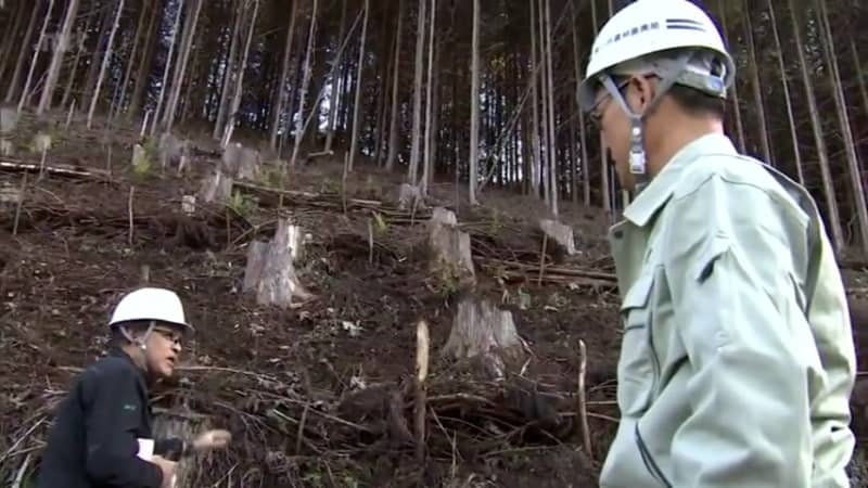 Governor Kono inspects site in Shiiba Village, aiming for the highest reforestation rate in Japan