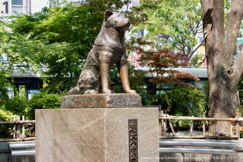 Many people are moved by India's "loyal dog Hachiko," who waited for his deceased master in front of the mortuary for four months...