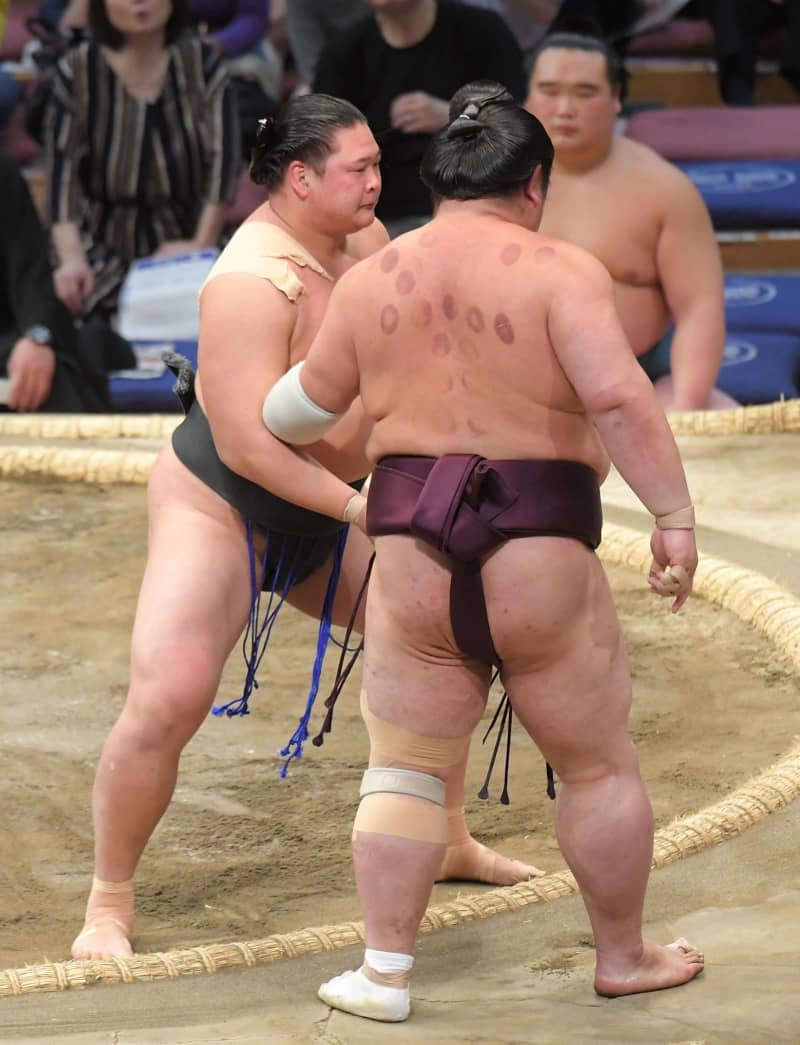 Grand Sumo Tournament: Makushita's Oshokai wins and advances significantly to New Juryo