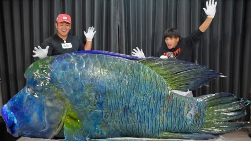 The contents of the gigantic Napoleon fish caught on Miyakojima turned out to be unimaginable... [Hisai Detectives]