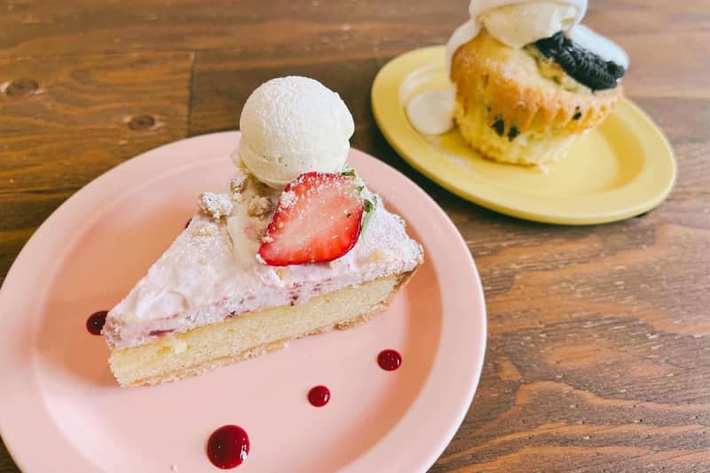 [Kitahorie] 9 recommended stylish cafes and sweets!A hidden cafe too