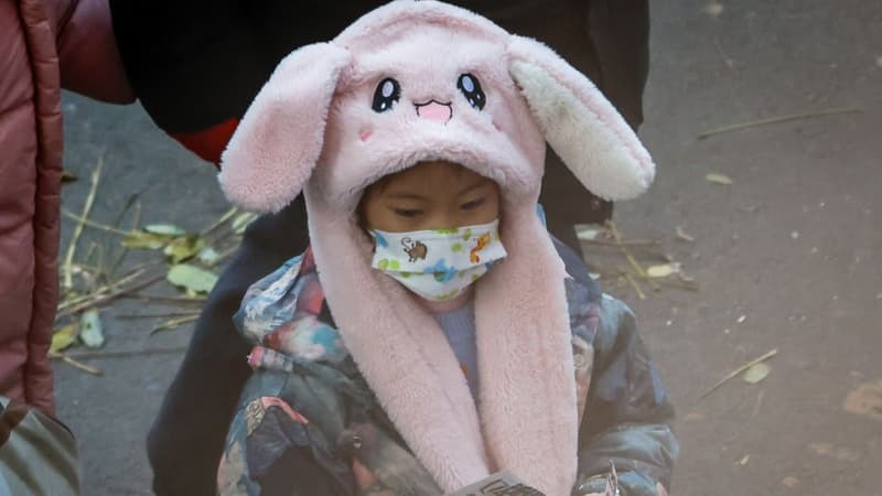 Pneumonia increases in children in China; 'no new pathogens reported': WHO