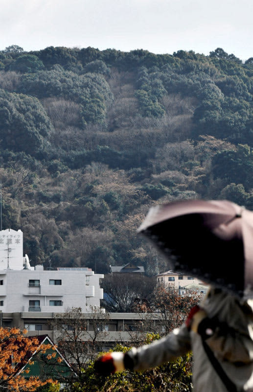熊本市の立田山でハイキング中の高齢男性が一時行方不明　無事発見で熊本県警が山岳遭難者で手配解除