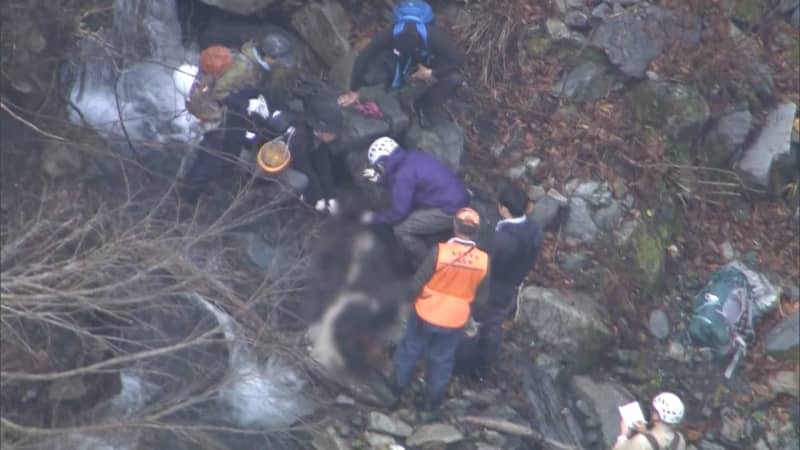 クマ体内に男子大学生遺体　DNA型鑑定で特定　登山中に襲われたか　北海道・福島町