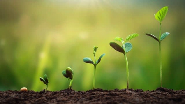 What financial analysts think!5 strategies to fully utilize the expanded “growth investment allowance” of the [New NISA]