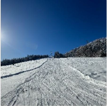 湯沢・かぐらスキー場オープン　県内トップを切って スキーシーズン到来【新潟】