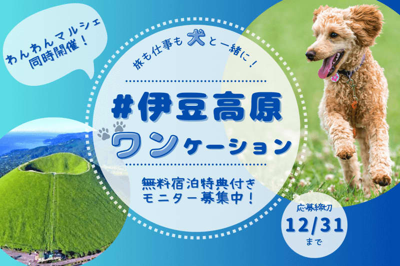 “Izu Kogen One Day”, a work day where you can participate with your dog, will be held in March 2024, with a free accommodation option…