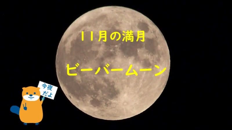 Will we be able to see November's full moon "Beaver Moon" tonight?
