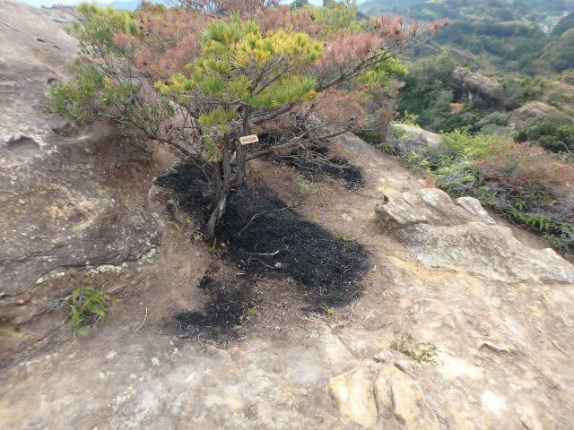 ひき岩群で枯れ草燃えるぼや　｢低山トラベル｣で人気､登山マナー守って　和歌山･田辺市