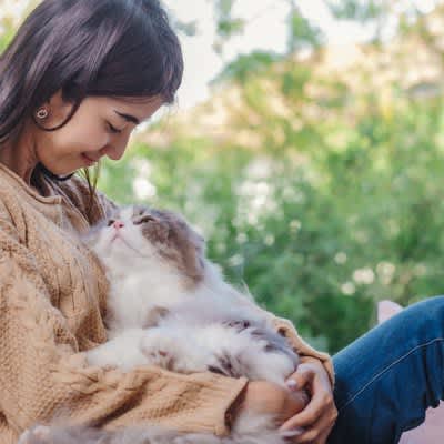 What information do you need to know before getting a cat?Pet & Family Insurance Announces Survey Results