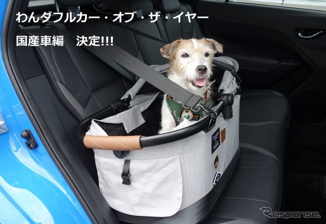 Wonderful Car of the Year Domestic Car Edition, this year is a bumper year for domestic dog-friendly cars! 【Aoyama…