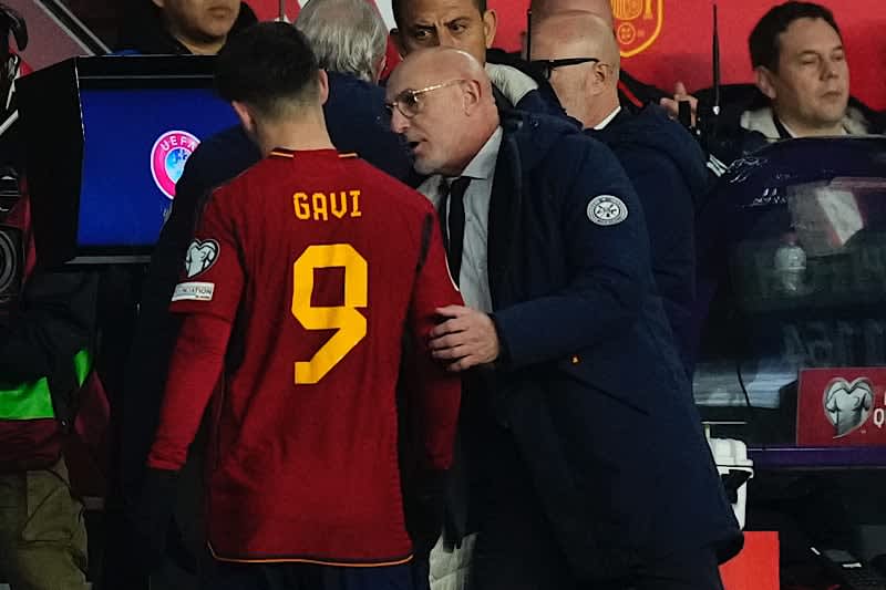 ``I intended to substitute him in the first half''...Spain national team coach, who has been criticized for seriously injured Gabi, says ``It was an unexpected accident''