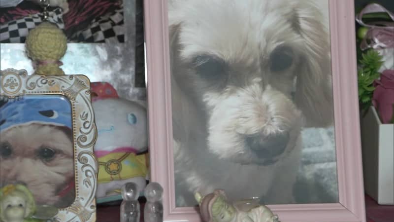 預かった“複数の犬”死なせたか…経営していたペットホテルで犬を劣悪環境に放置 虐待で逮捕の69…