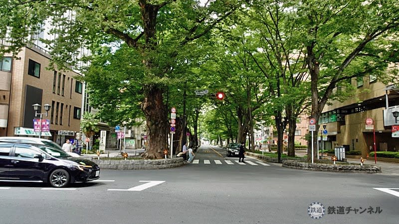 Speaking of Fuchu, it's the ``Zelkova trees at Baba Daimon'' [Station Stroll] 06 Keio Electric Railway Keio Line 137