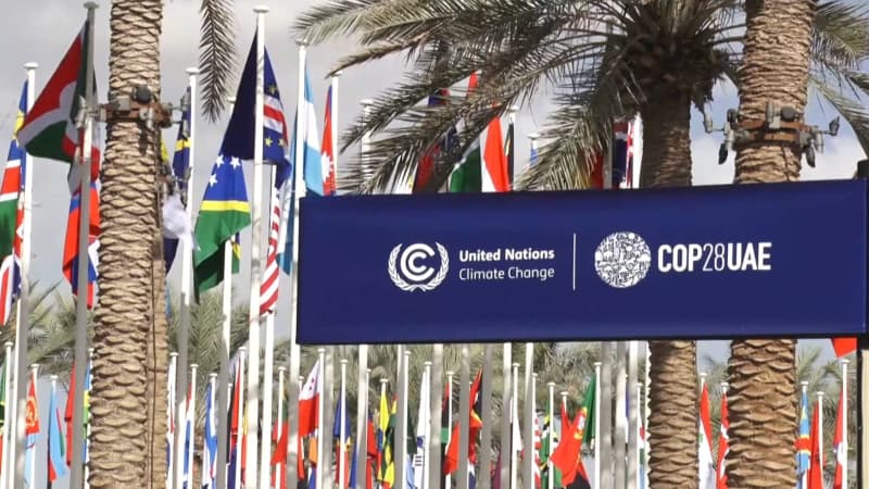 Prime Minister Kishida's appeal at COP28: Can we break away from the Fossil Prize?
