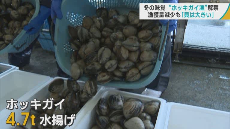 漁獲量減少も「貝は大きい」　冬の味覚「ホッキガイ」の漁が解禁／青森・三沢市