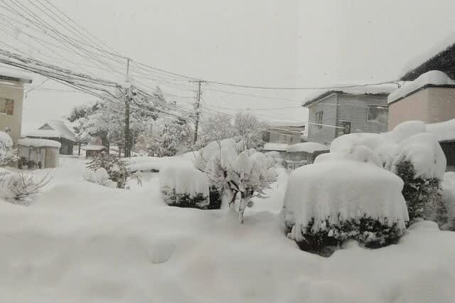 「雪国移住のリアル」千葉から秋田「5年在住」ライター「実生活レポ」