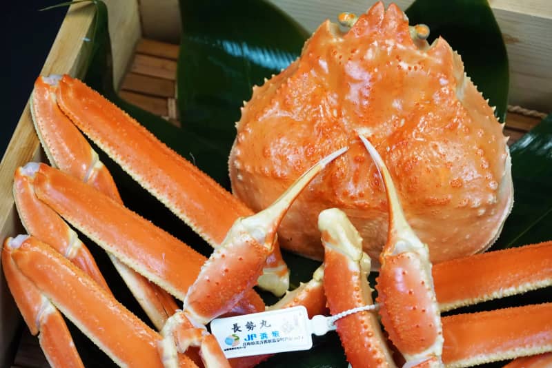 【兵庫・但馬】湯村温泉の蟹グルメをご紹介！冬を代表する味「松葉蟹」を堪能しよう！