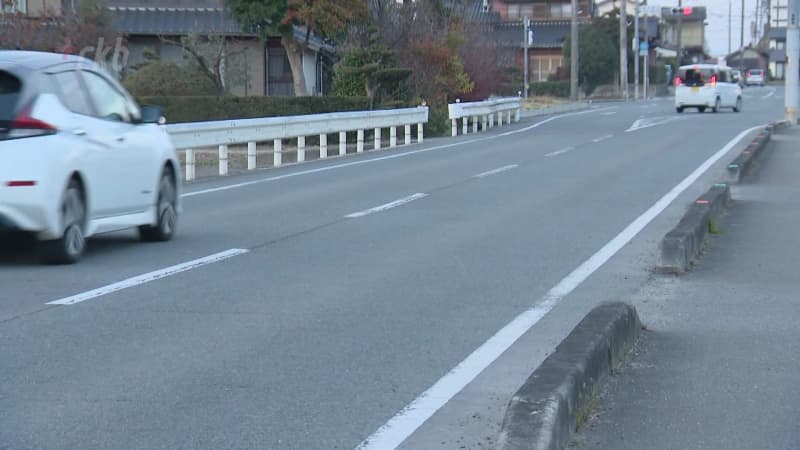An unconscious elderly woman dies after being hit by a light truck while pushing her bicycle across the street.