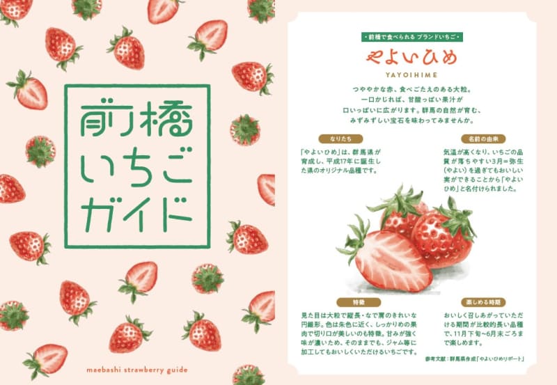 前橋産イチゴの魅力を紹介 市がガイドブック作成　農園情報や豆知識も掲載