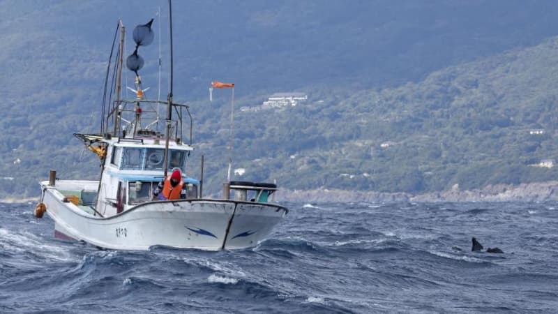 Five bodies found underwater after Osprey crash; recovery and identification continues
