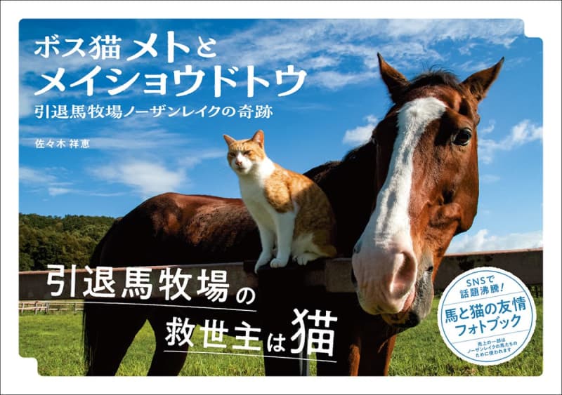 Amazon本ランキング4位に　元競走馬と猫の友情フォトブック『ボス猫メトとメイショウドトウ』