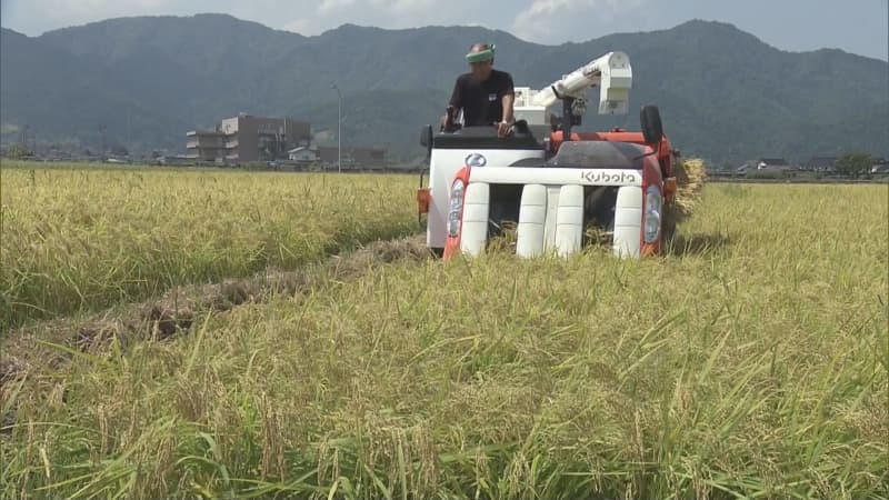 Producers forced to deal with freezing and frost damage and record heatwave Yamagata 2023 as seen by camera...