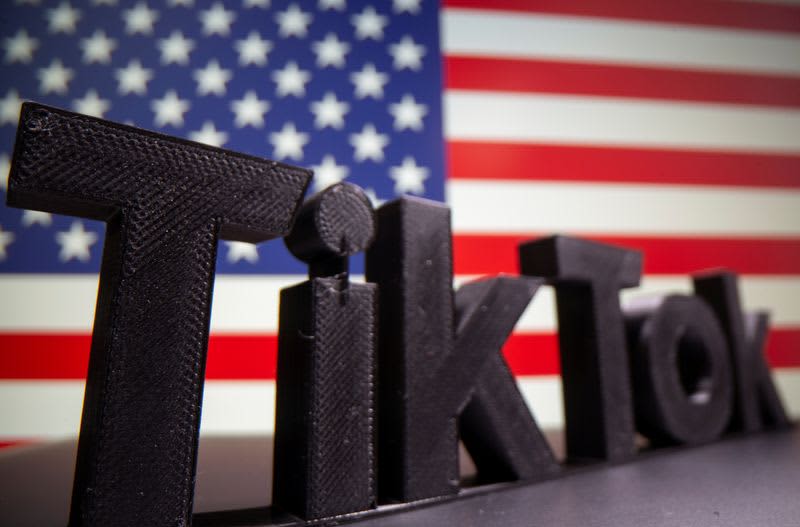 U.S. Congress won't consider TikTok-related bill this year - senator