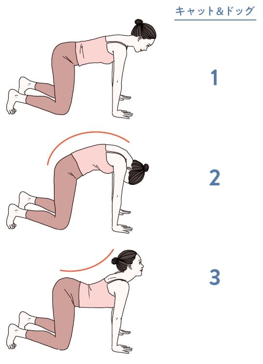 Urinary leakage occurs even in your 20s and 30s...Prevent it with simple "pelvic floor muscle training" recommended by urologists!