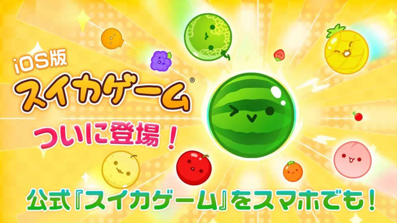 “Watermelon Game” official version released for iPhone – PORTALFIELD News