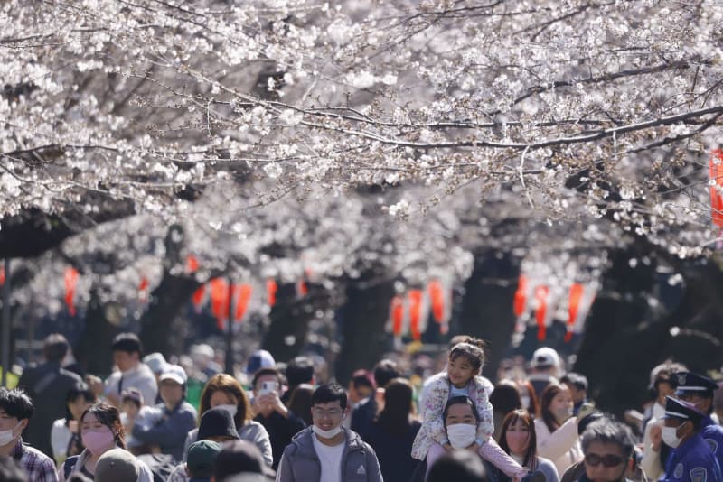 中国人の海外旅行先、日本が首位 4月連休、花見目当て ｜ 共同通信 - 共同通信