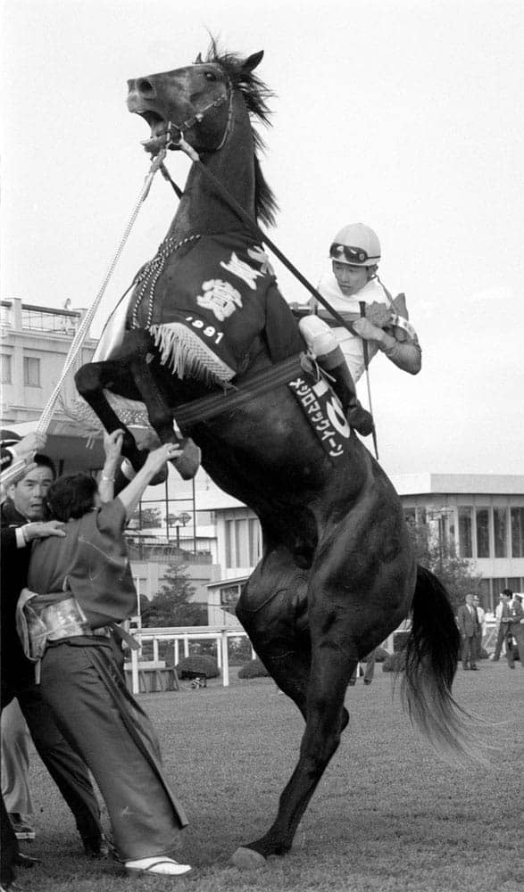 あのころ＞メジロマックイーンが快勝 競馬の天皇賞・春 ｜ 共同通信