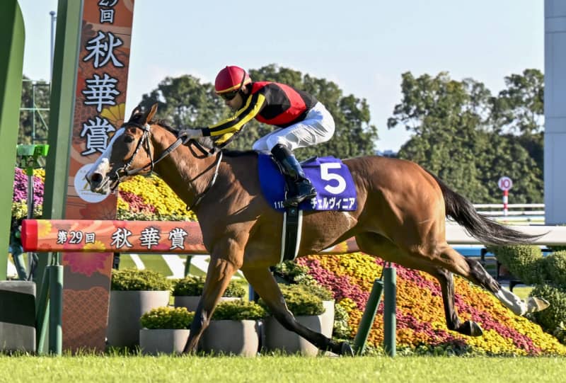 チェルヴィニアが優勝 競馬の秋華賞 ｜ 共同通信