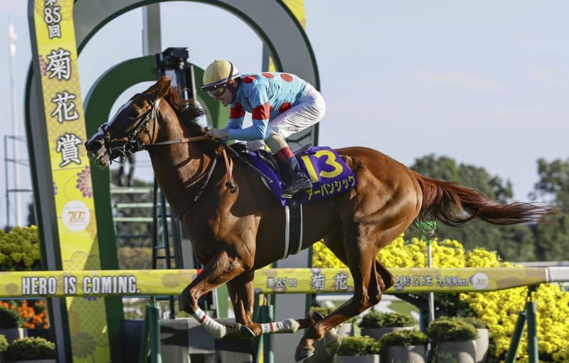 2番人気のアーバンシックが優勝 競馬の菊花賞、G1初制覇 ｜ 共同通信