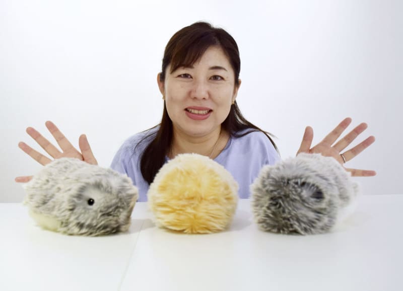 【1月末まで値下げ中】Moflin CASIO ペットロボット 飼い主になつく癒しのAIペットロボット“Moflin” | CASIO