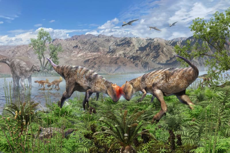 頭突き恐竜」世界最古の化石 進化当初からドーム状の頭 | NEWSjp