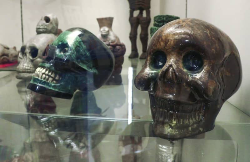 怖いだけじゃない「骸骨」の魅力発信 兵庫・尼崎のシャレコーベ