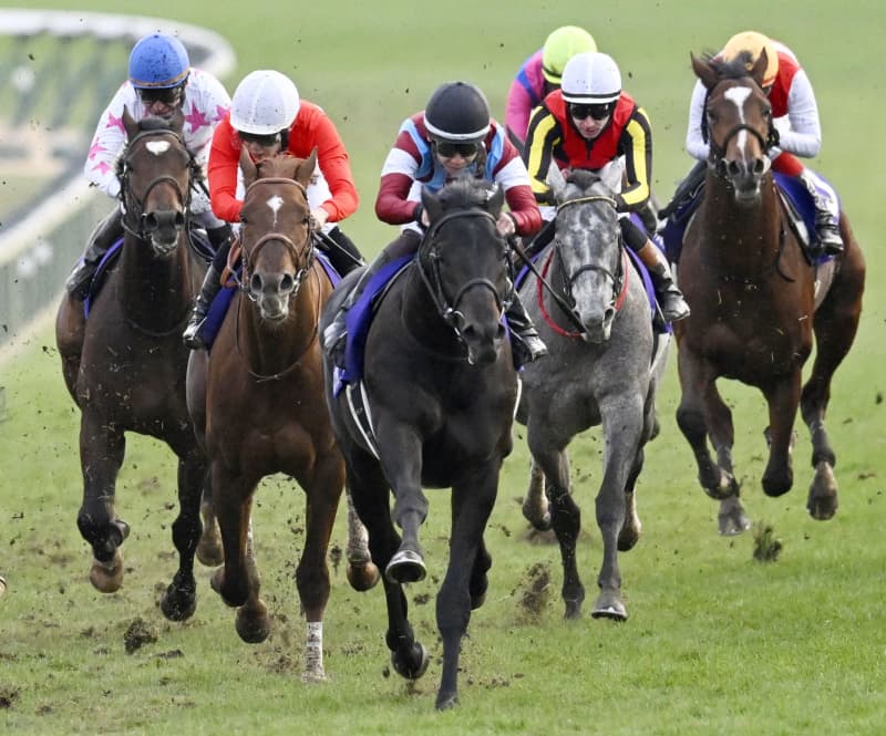 競馬、ロブチェンが重賞初制覇 G1のホープフルS、7番人気 | NEWSjp