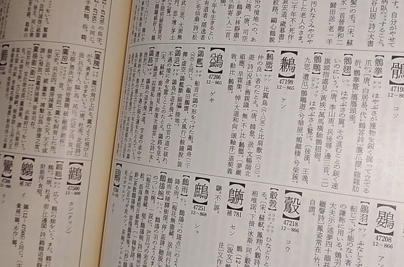 大漢和辞典」ついに！デジタル化 「フォントない」問題克服の秘密とは ｜ 共同通信