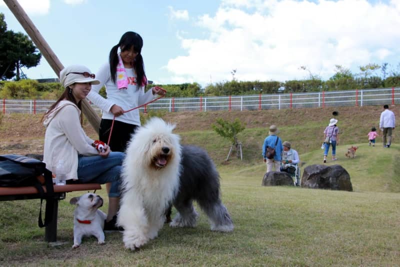 平成の長崎 愛犬と楽しもう 新設ドッグラン 佐世保 えぼしスポーツの里 平成２３ ２０１１ 年 長崎新聞